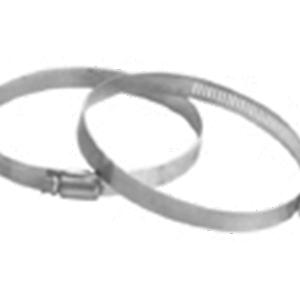 Beauty Shield